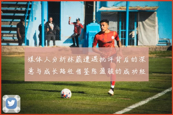 媒体人分析林葳遭遇批评背后的深意与成长路径借鉴陈盈骏的成功经验